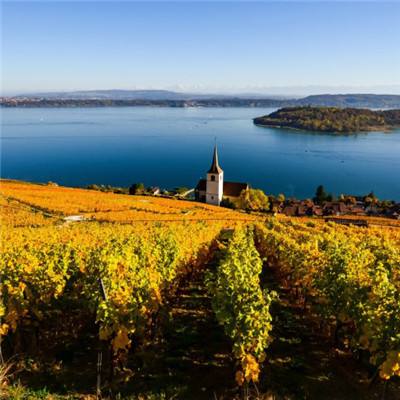 雷火亚洲电竞平台官网