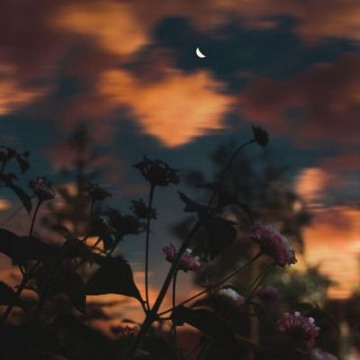 2023年香港资料精准app下载