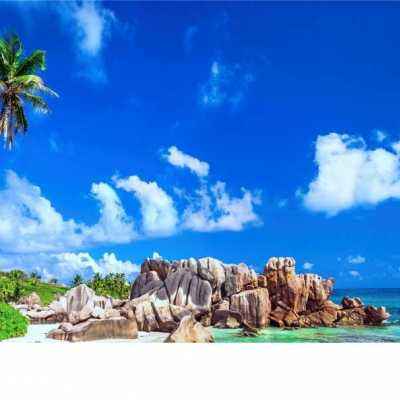 大发彩票官方官方平台app手机app下载